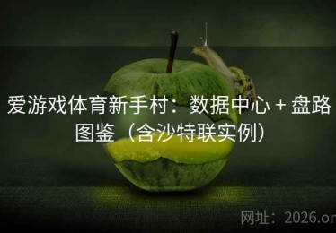 爱游戏体育新手村：数据中心 + 盘路图鉴（含沙特联实例）