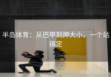 半岛体育：从巴甲到押大小，一个站搞定