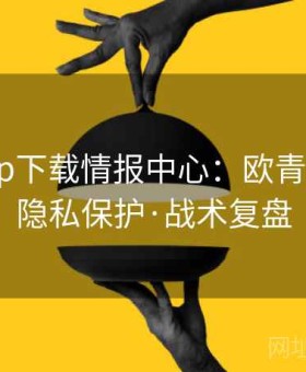 开云app下载情报中心：欧青赛午场·隐私保护·战术复盘