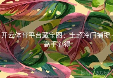 开云体育平台藏宝图：土超冷门捕捉·高手心得