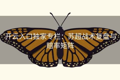 开云入口独家专栏：苏超战术复盘与赔率矩阵