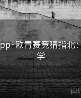b体育app·欧青赛竞猜指北：盘口教学