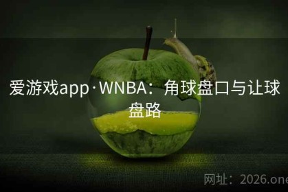 爱游戏app·WNBA：角球盘口与让球盘路