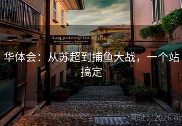 华体会：从苏超到捕鱼大战，一个站搞定