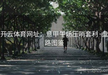开云体育网址：意甲午场压哨套利·盘路图鉴
