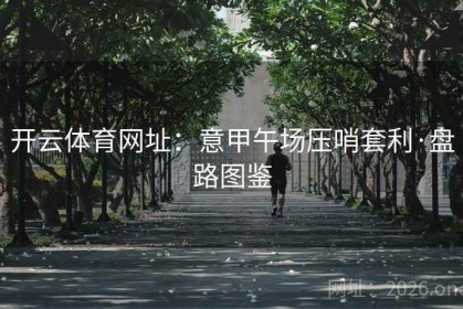 开云体育网址：意甲午场压哨套利·盘路图鉴