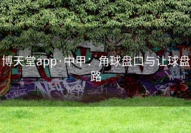 博天堂app·中甲：角球盘口与让球盘路