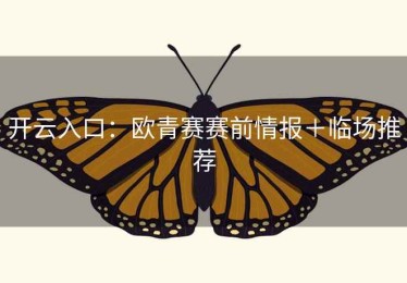 开云入口：欧青赛赛前情报＋临场推荐