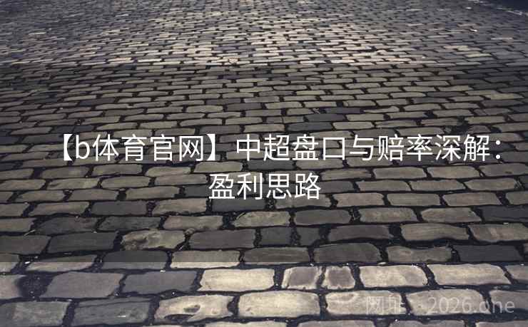 【b体育官网】中超盘口与赔率深解：盈利思路