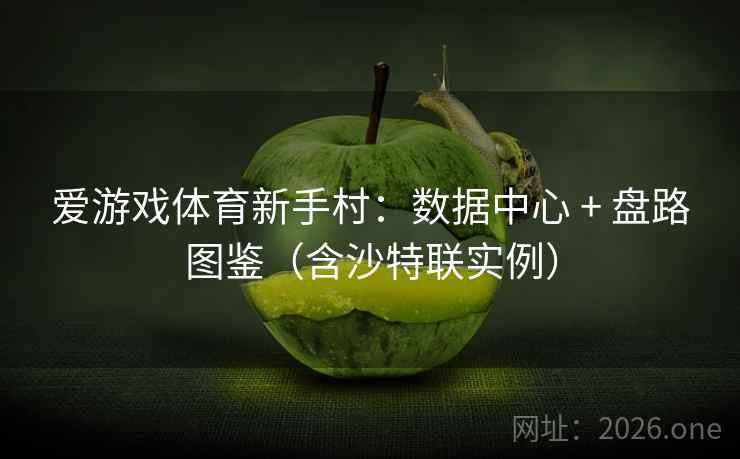 爱游戏体育新手村：数据中心 + 盘路图鉴（含沙特联实例）