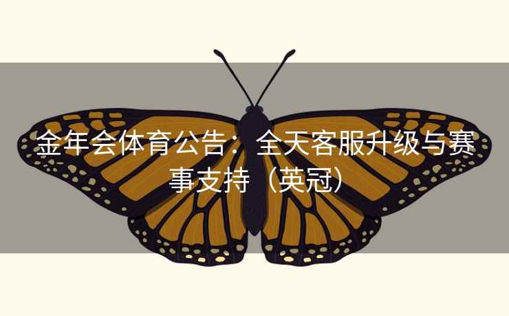 金年会体育公告：全天客服升级与赛事支持（英冠）