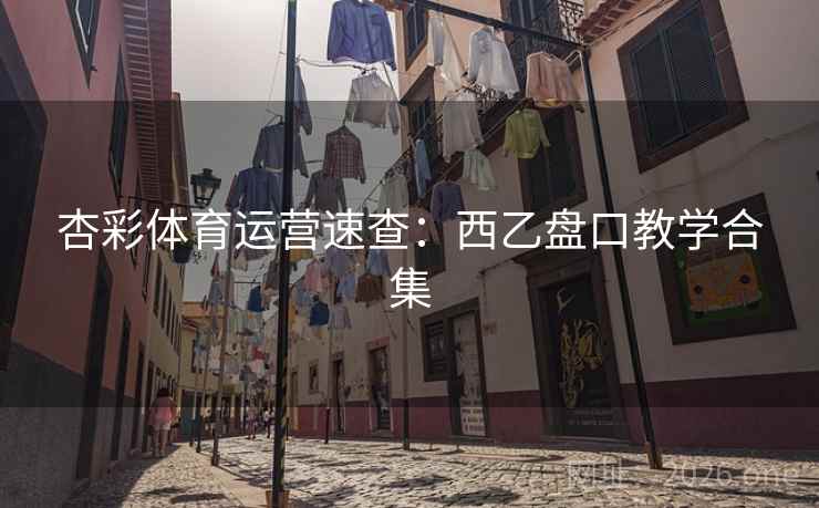 杏彩体育运营速查：西乙盘口教学合集