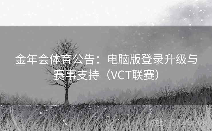 金年会体育公告：电脑版登录升级与赛事支持（VCT联赛）