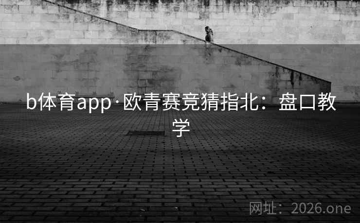 b体育app·欧青赛竞猜指北：盘口教学