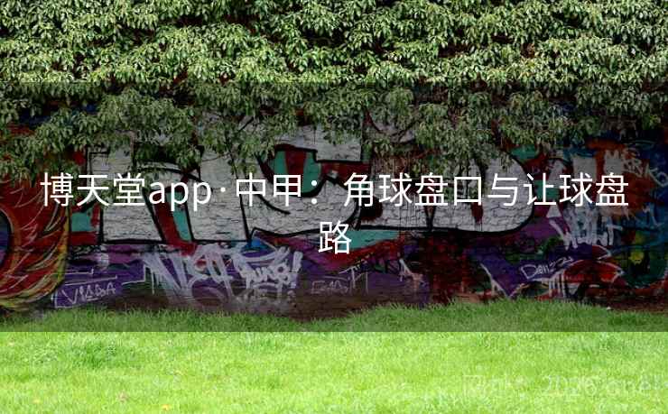博天堂app·中甲：角球盘口与让球盘路