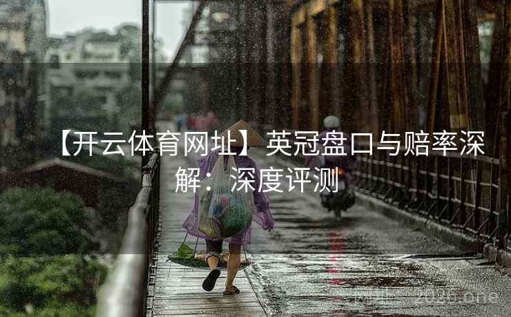 【开云体育网址】英冠盘口与赔率深解：深度评测