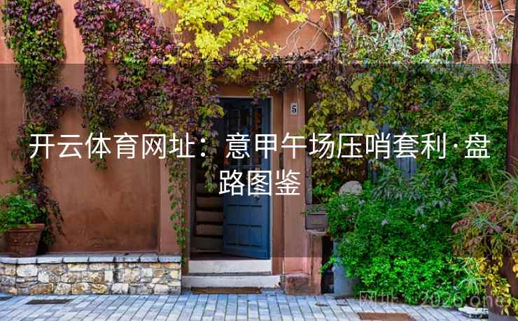 开云体育网址：意甲午场压哨套利·盘路图鉴