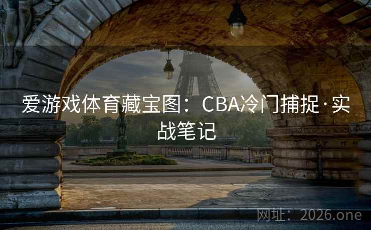 爱游戏体育藏宝图：CBA冷门捕捉·实战笔记