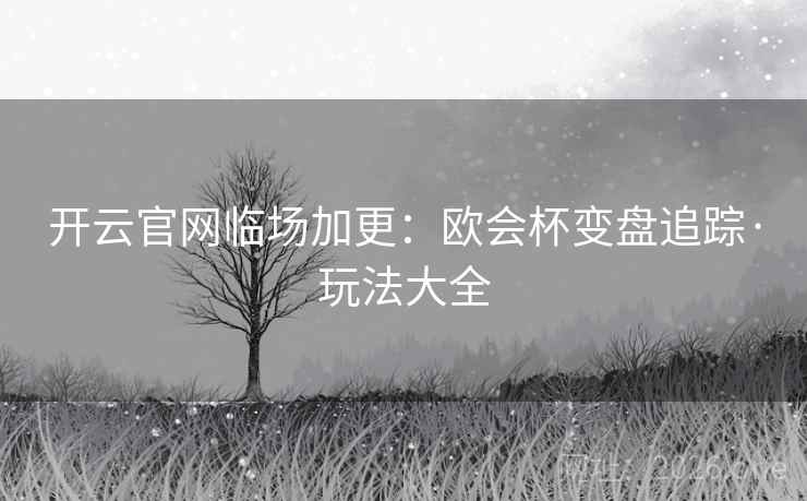 开云官网临场加更：欧会杯变盘追踪·玩法大全
